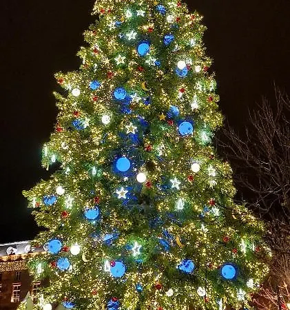 Le Colonial - Au Coeur De - 4 Couchages Apartmán Štrasburk