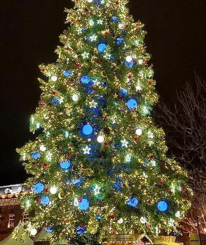 Le Colonial - Au Coeur De - 4 Couchages Appartement Straatsburg